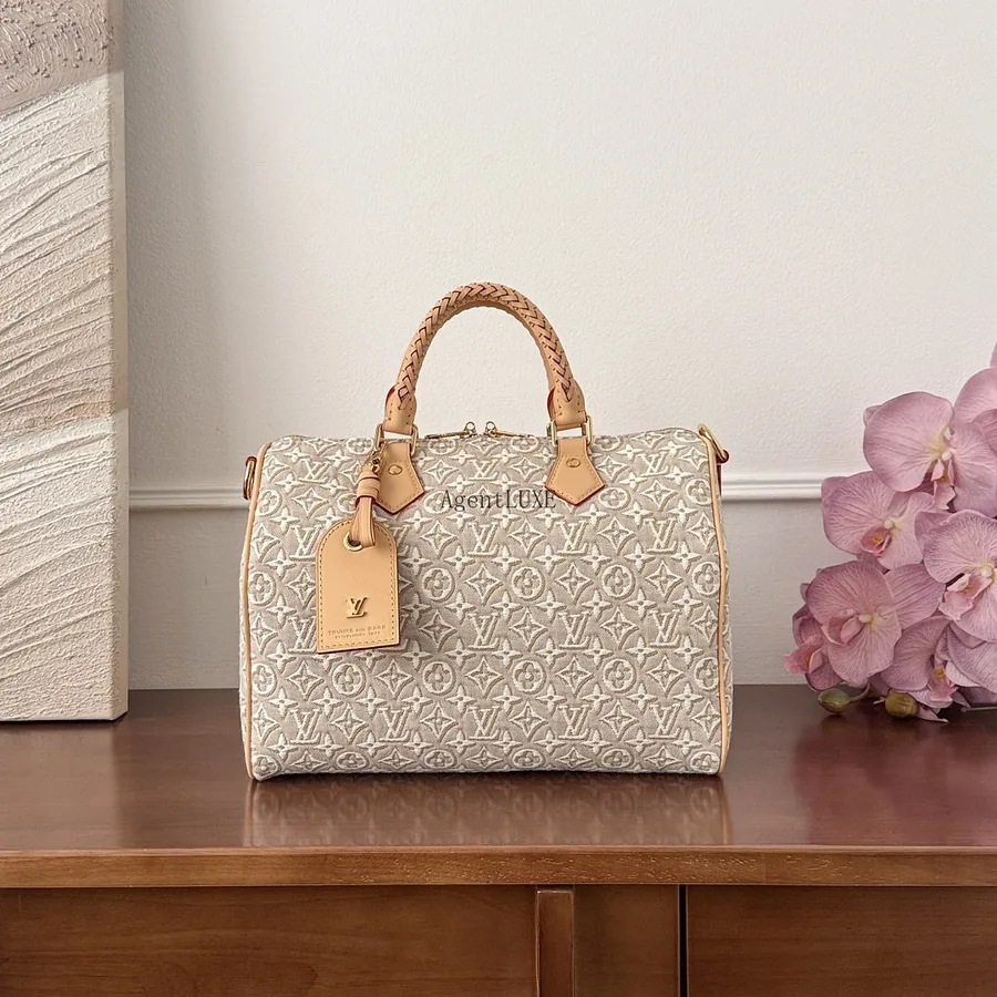 LV Speedy 25 Monogram Bag