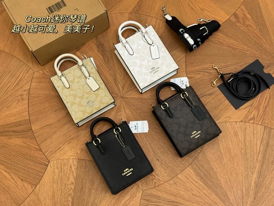 Coach Mini Music Case Tote Bag