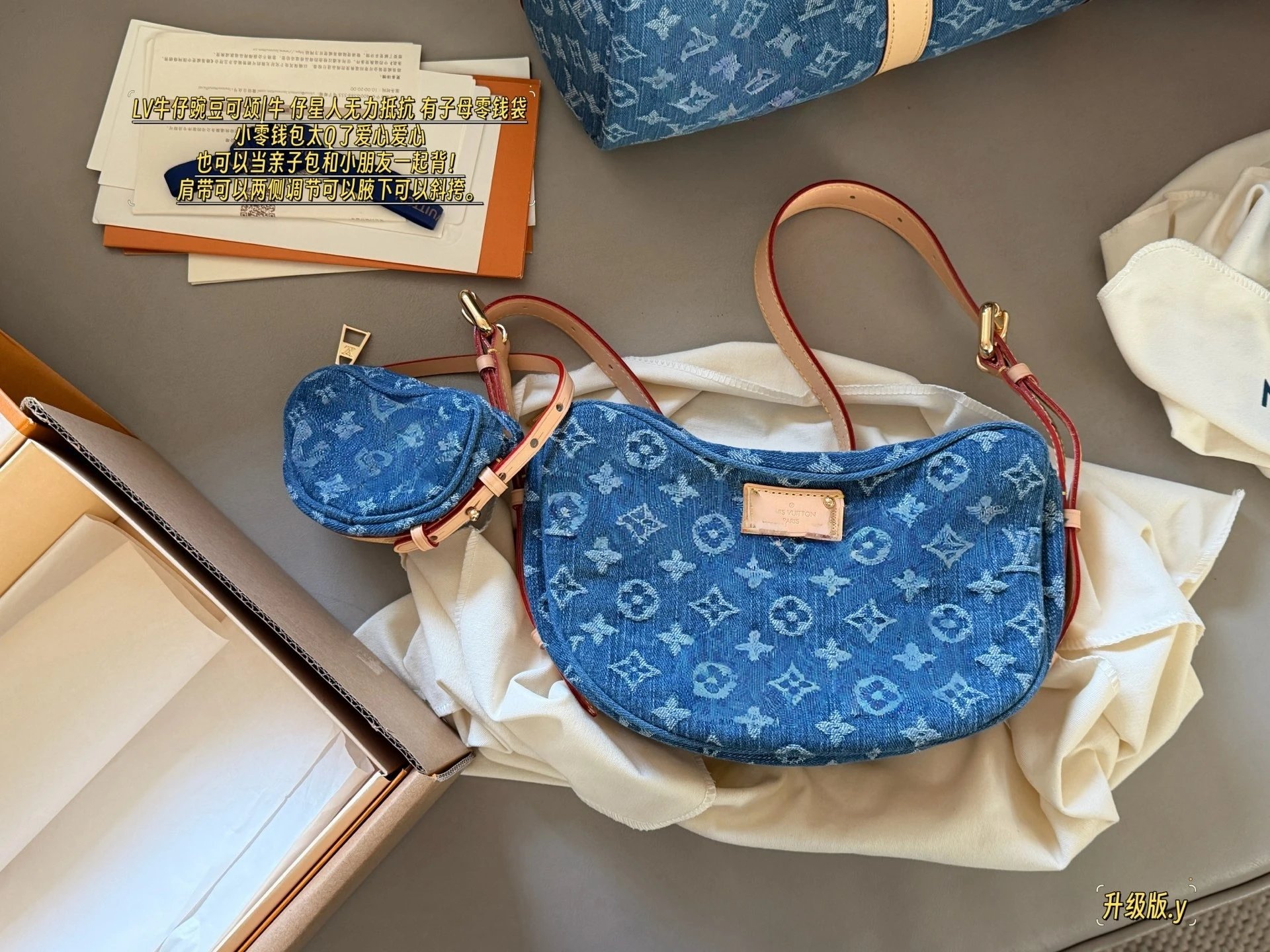 Louis Vuitton Denim Pea Shoulder Bag
