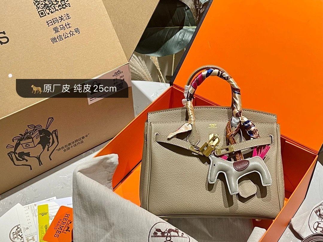 Hermes Birkin 25 Sellier Leather Tote