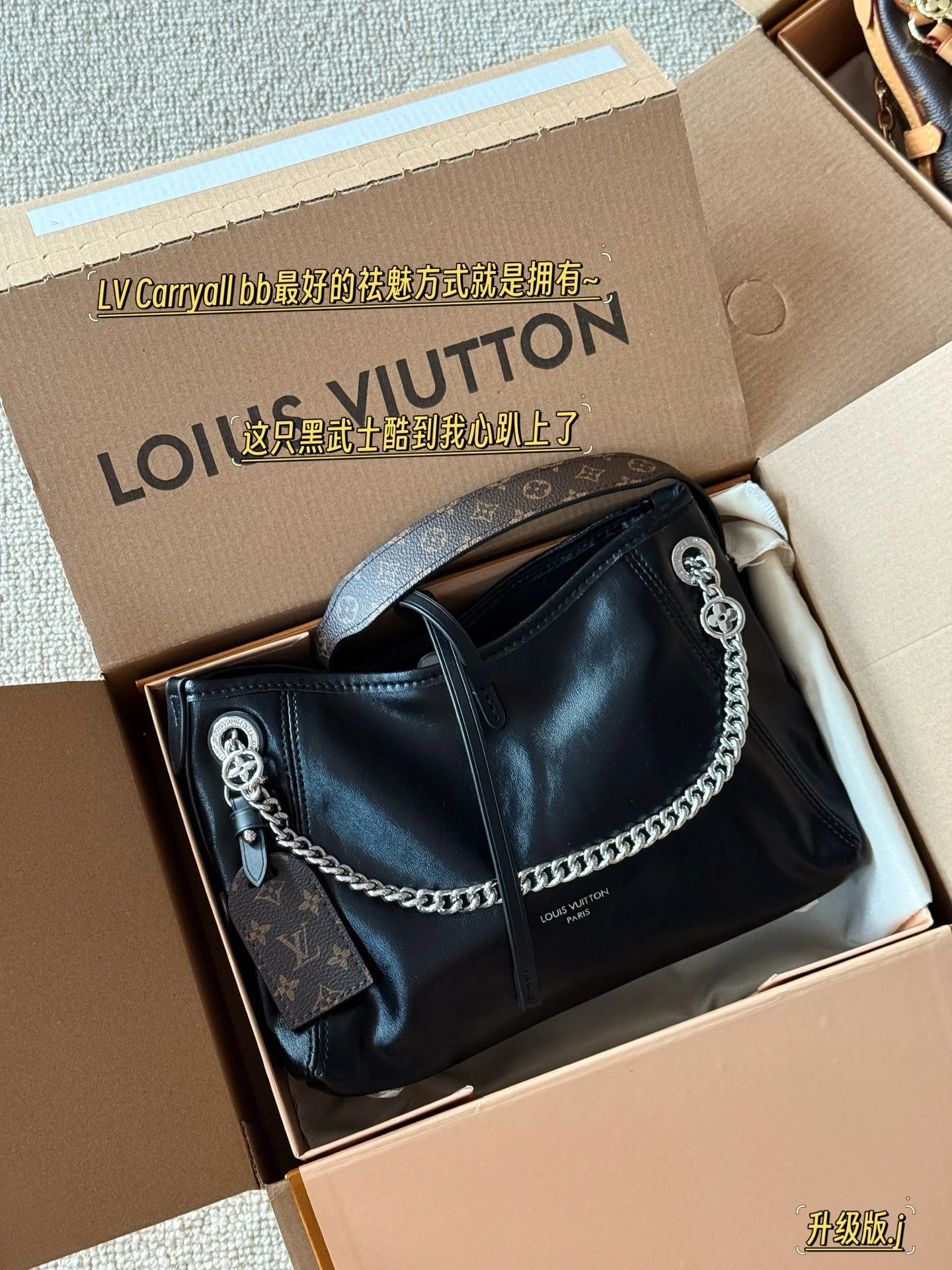 Louis Vuitton CarryAll 25 Leather Shoulder Bag