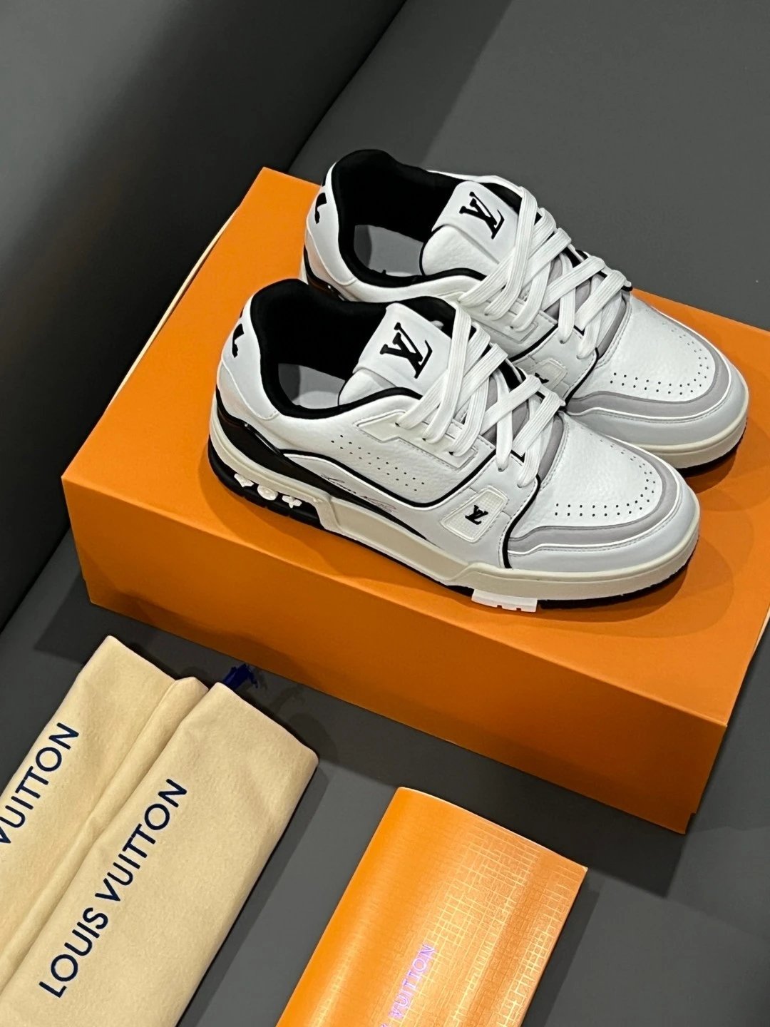 Louis Vuitton Leather Skate Sneakers