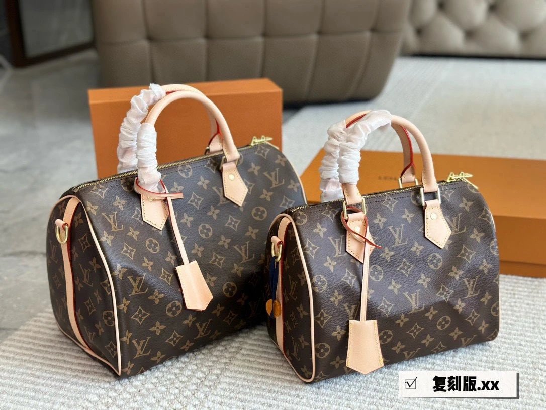 Monogram Damier Speedy 25 and 30 Pillow Bag