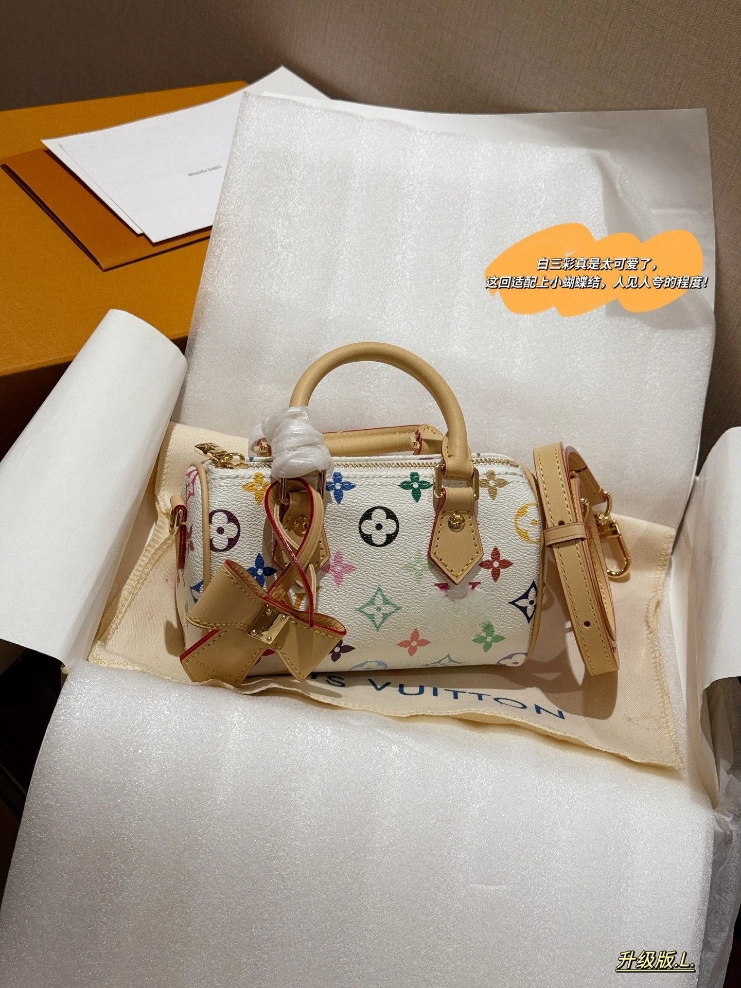 Louis Vuitton Nano Speedy Tricolor Bag