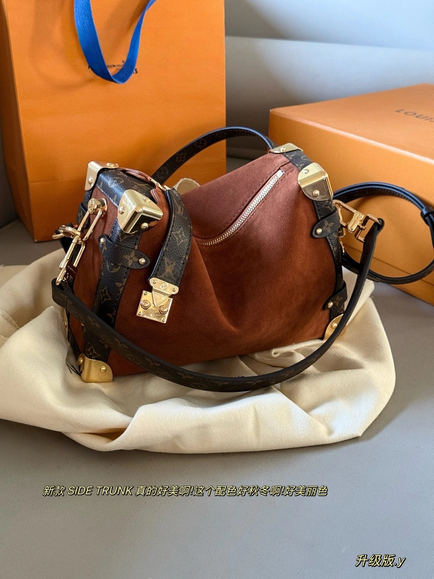 Louis Vuitton Suede Side Trunk Bag