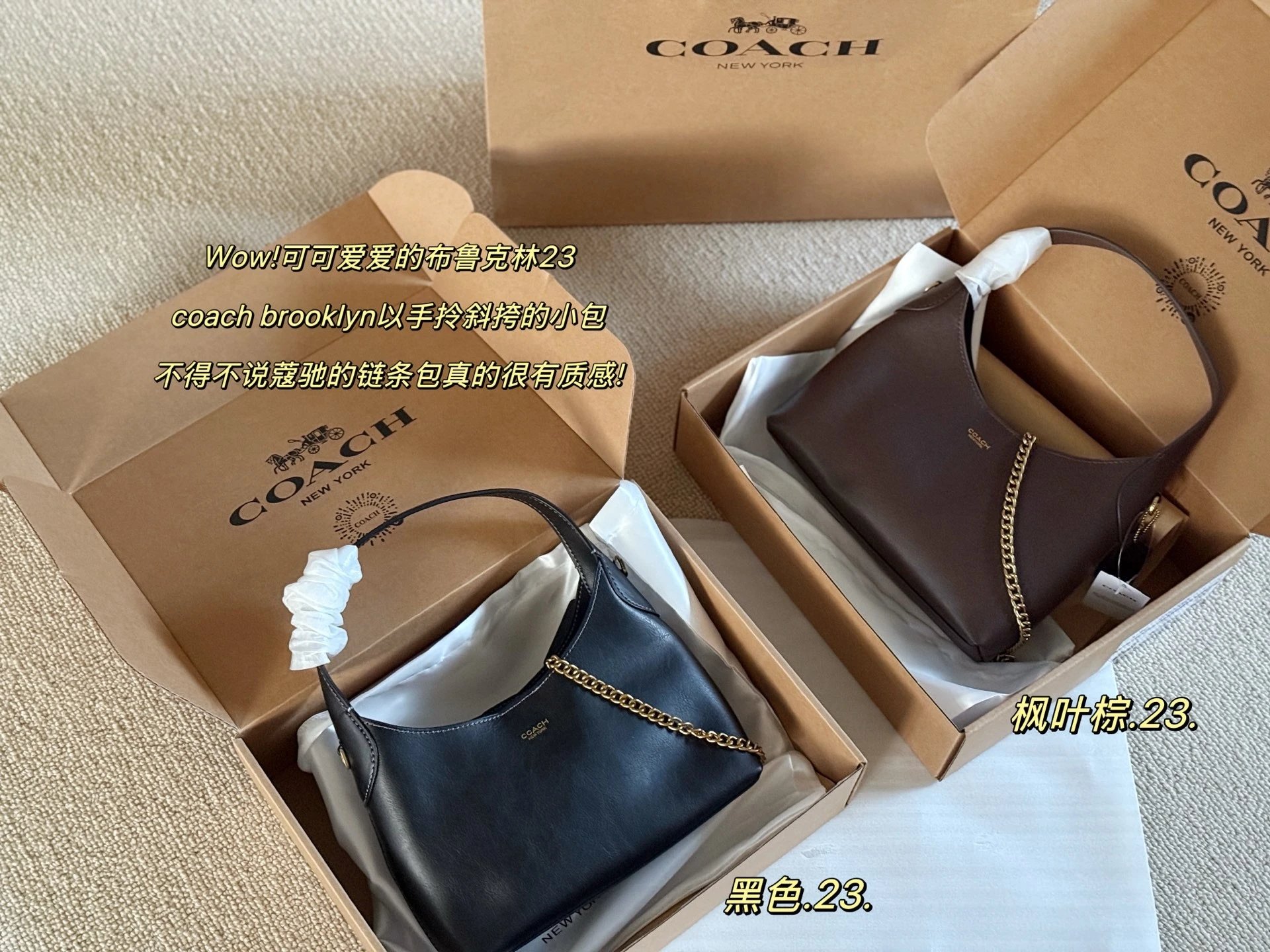 Coach Brooklyn Half Moon Shoulder Bag