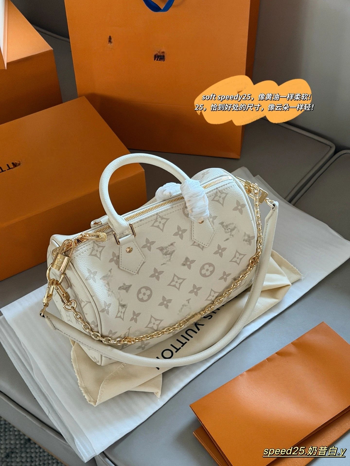 Louis Vuitton Speedy 25 Leather Pillow Bag