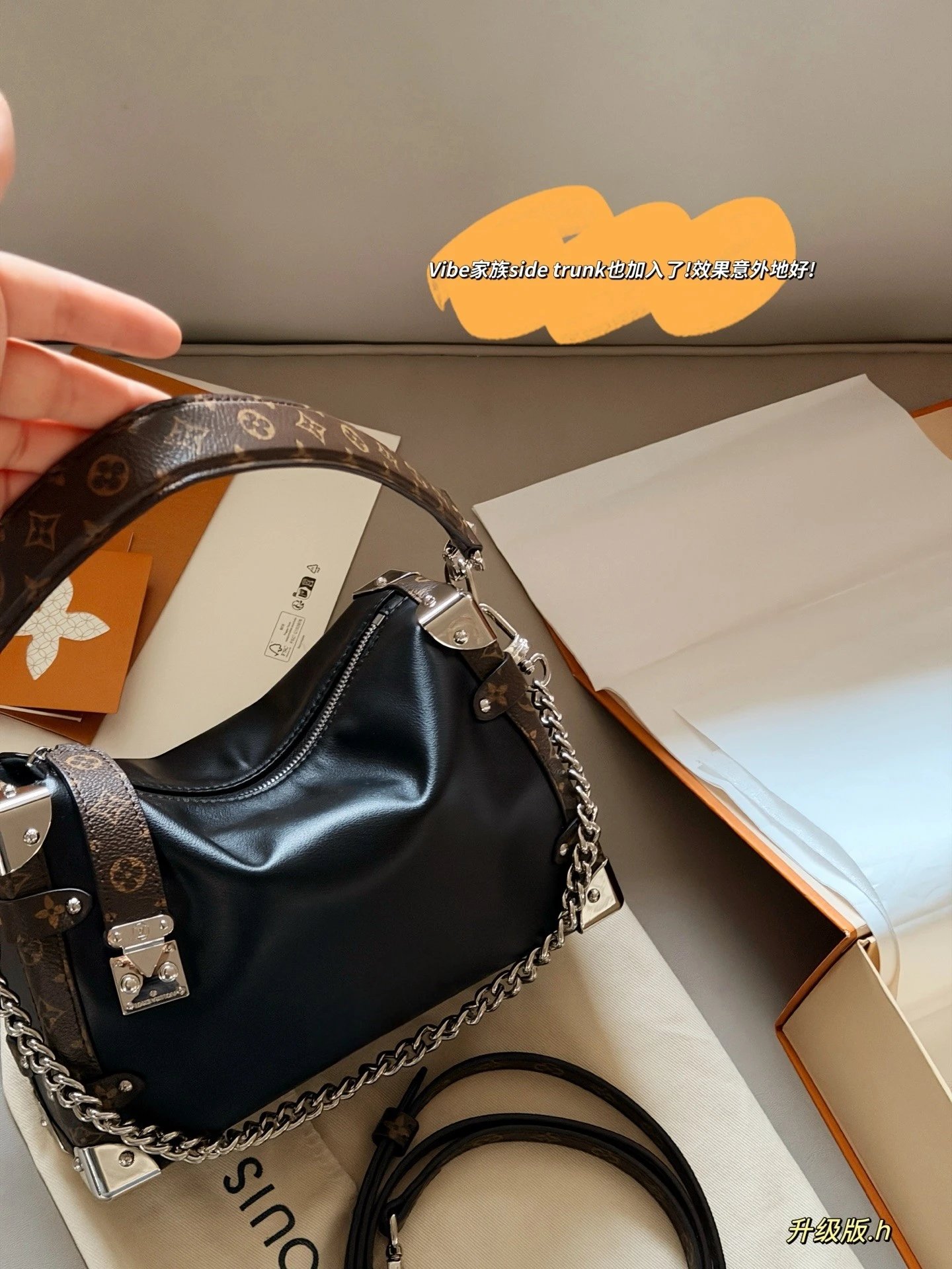 Louis Vuitton Two Tone Side Trunk Bag