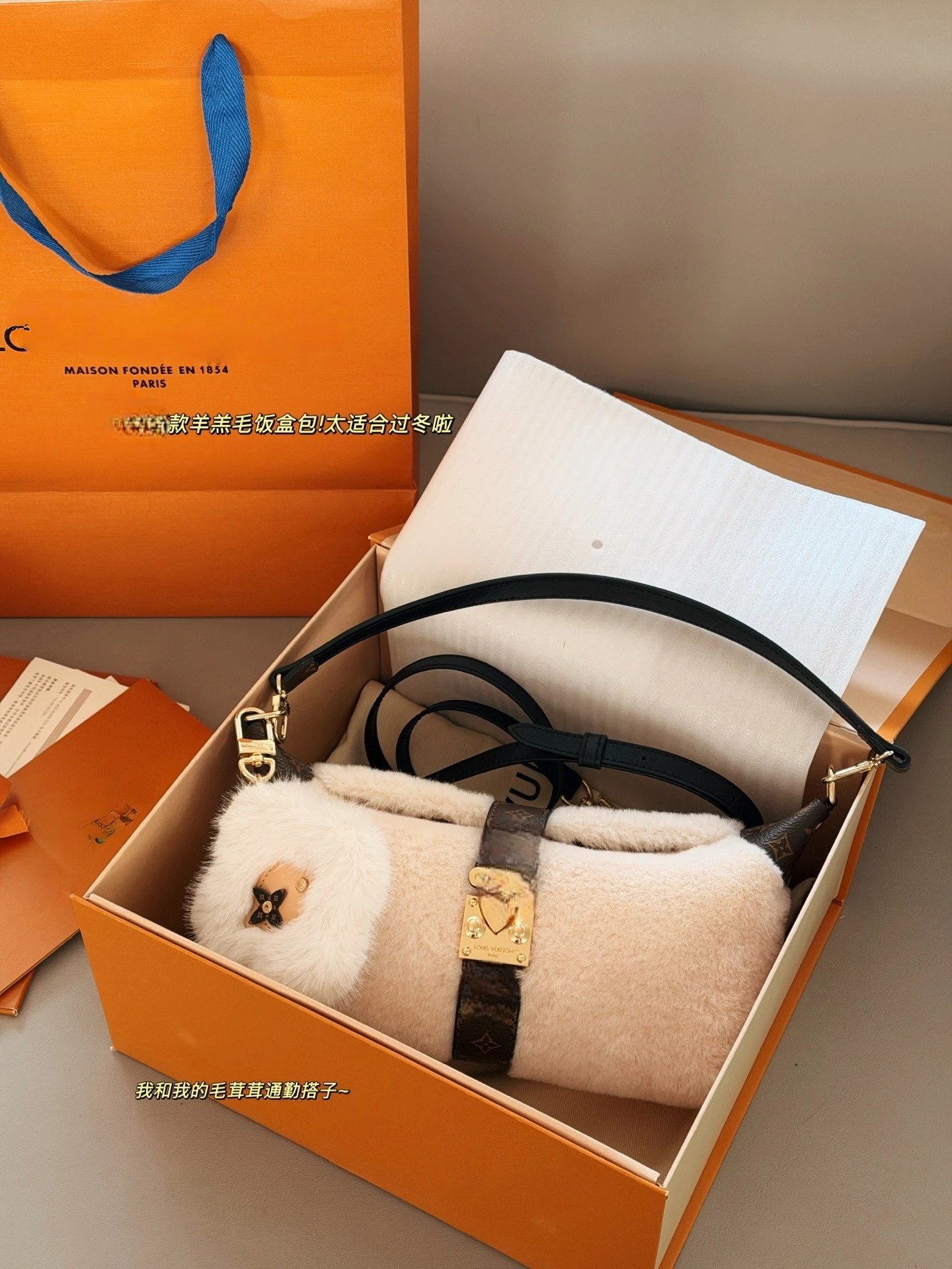 Louis Vuitton MIA Dumpling Shoulder Bag