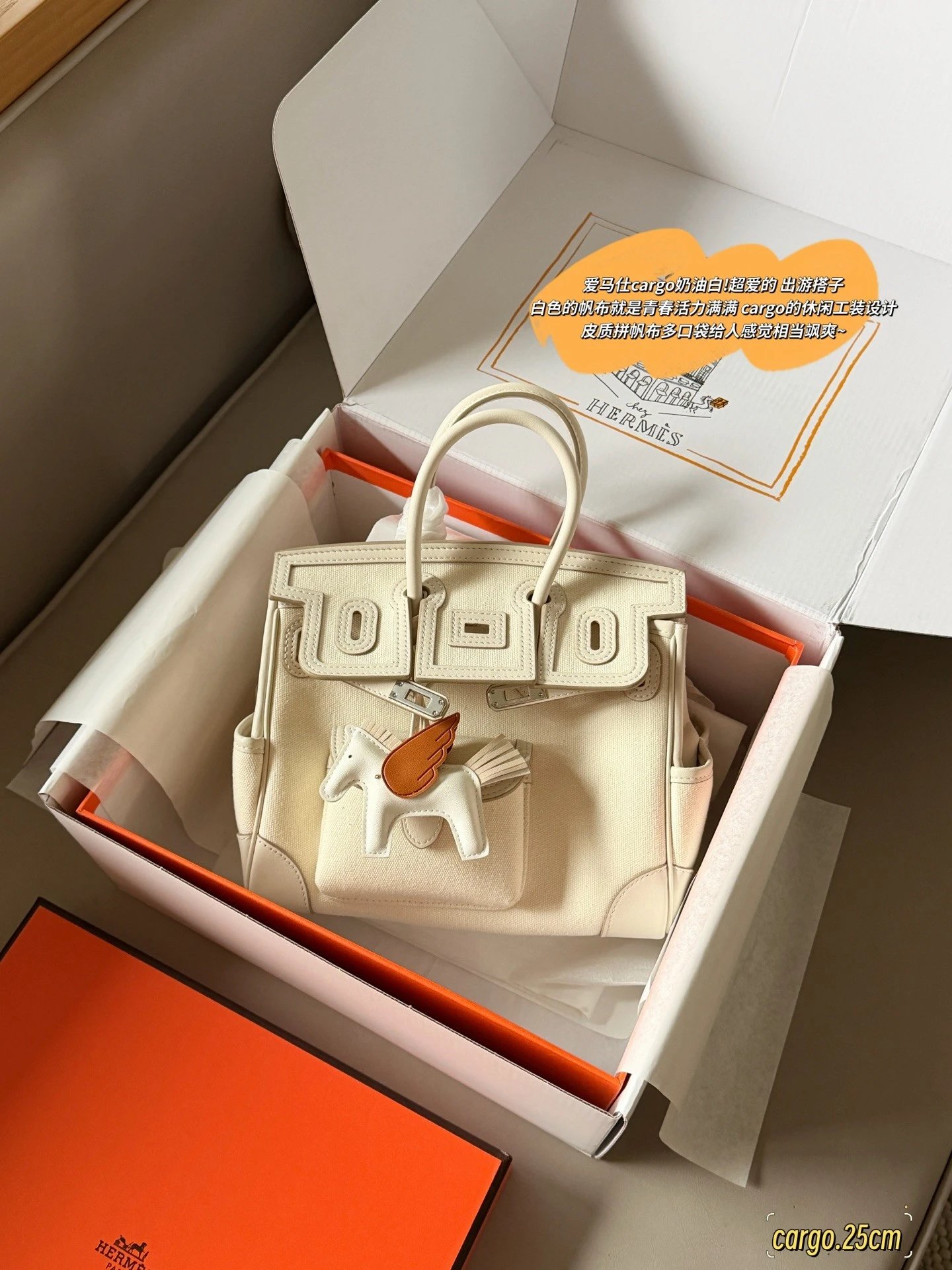 Hermes Birkin Cargo 25 Canvas Tote Bag