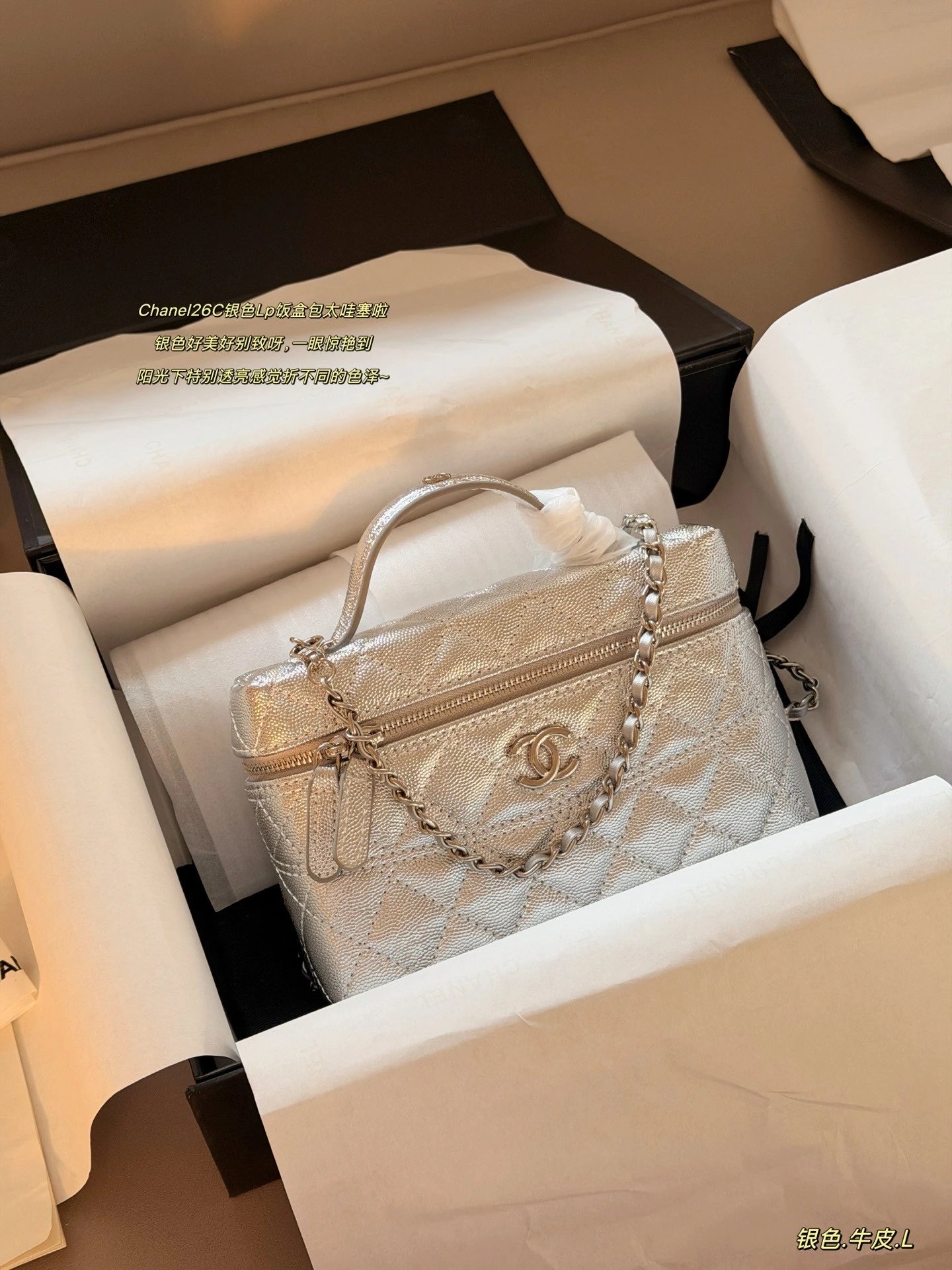 Chanel 26X Silver Vanity Chain Bag