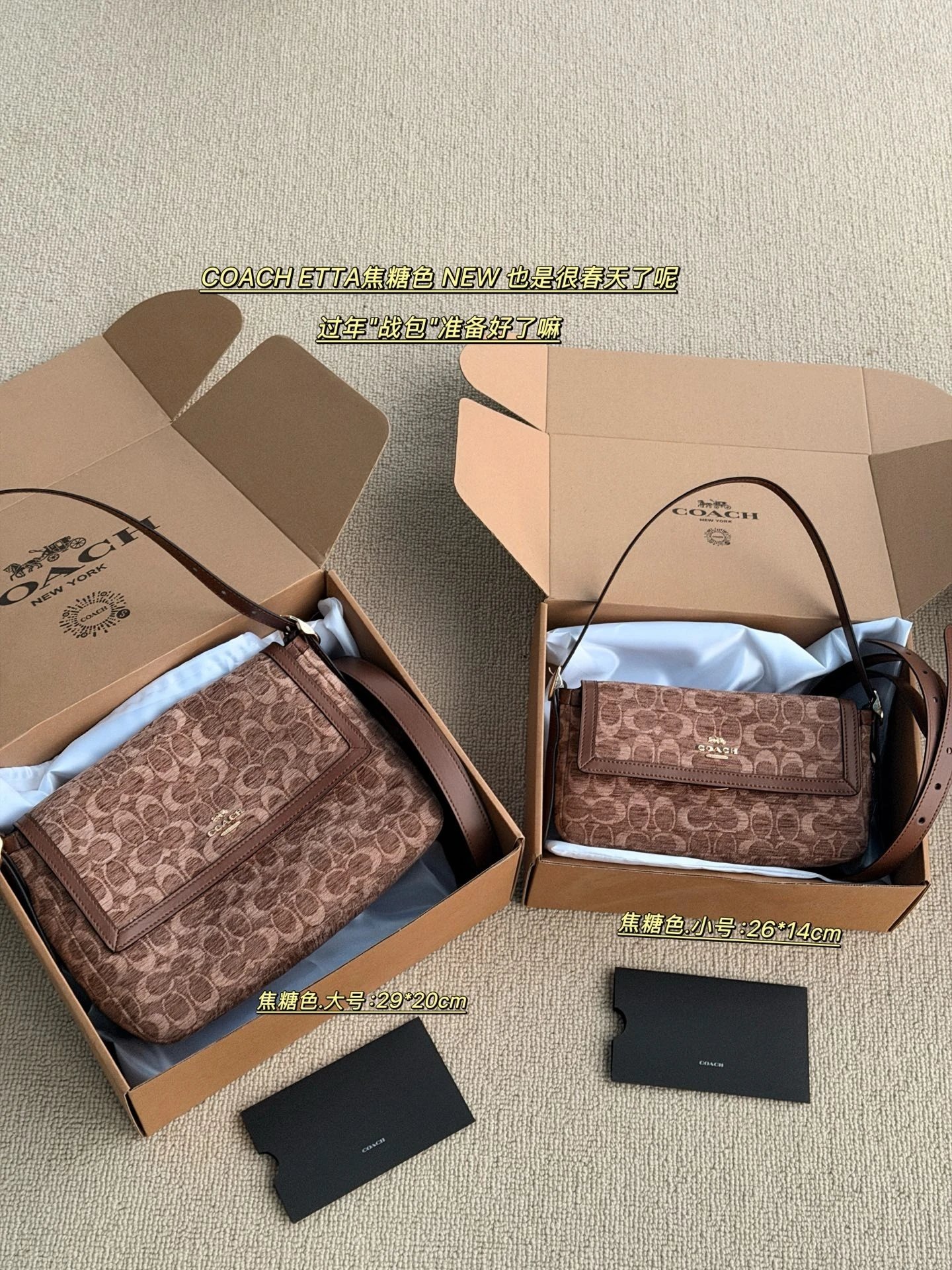 Coach Flap Tote Shoulder Bag