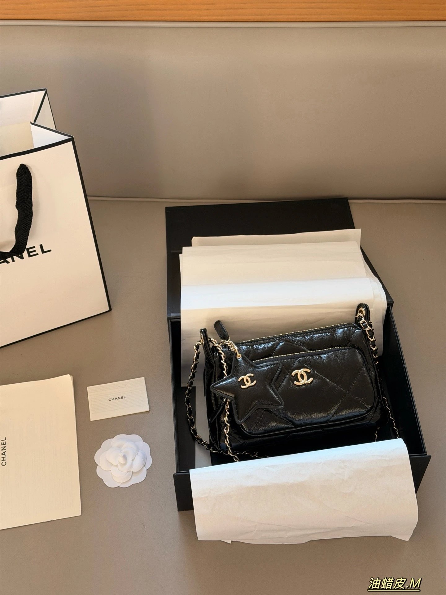 Chanel Waxed Leather Star Camera Bag