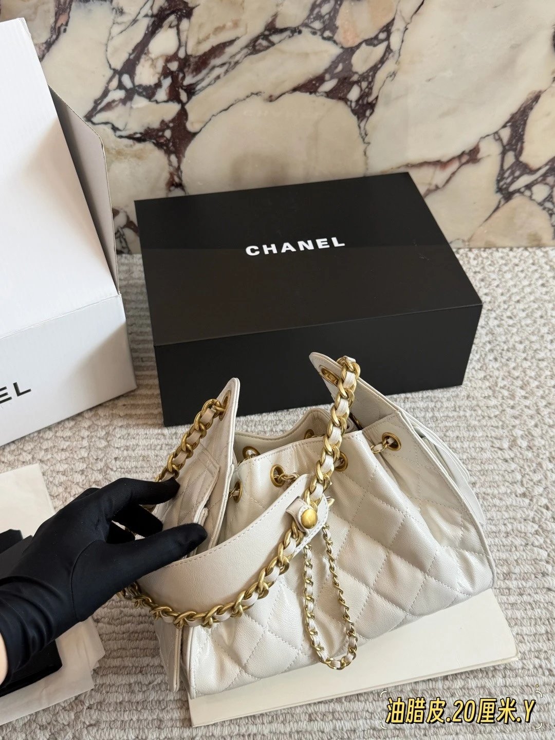 Chanel 25S Mini Waxed Leather Hobo Bag
