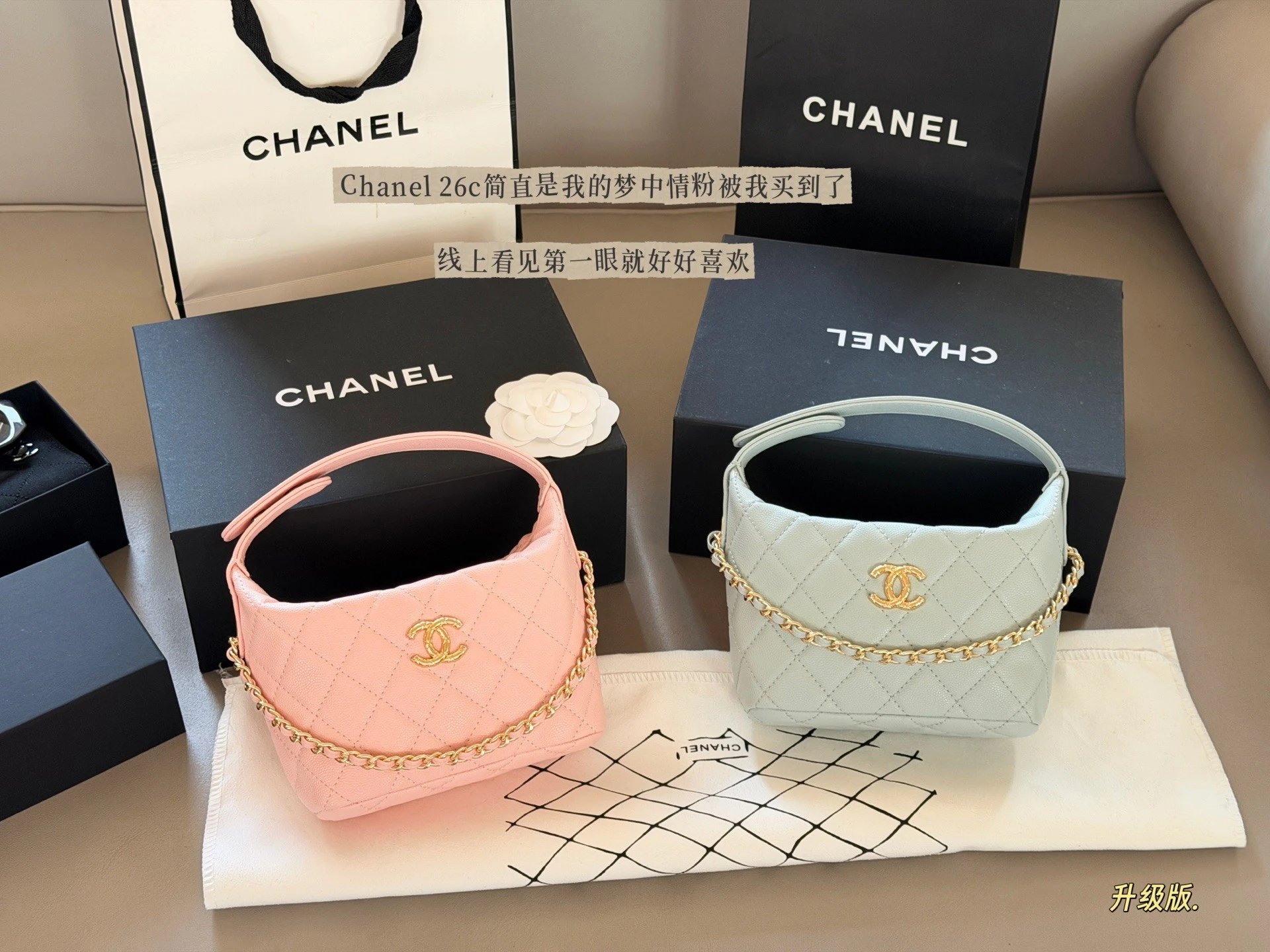 Chanel 26C Textured Vanity Chain Bag