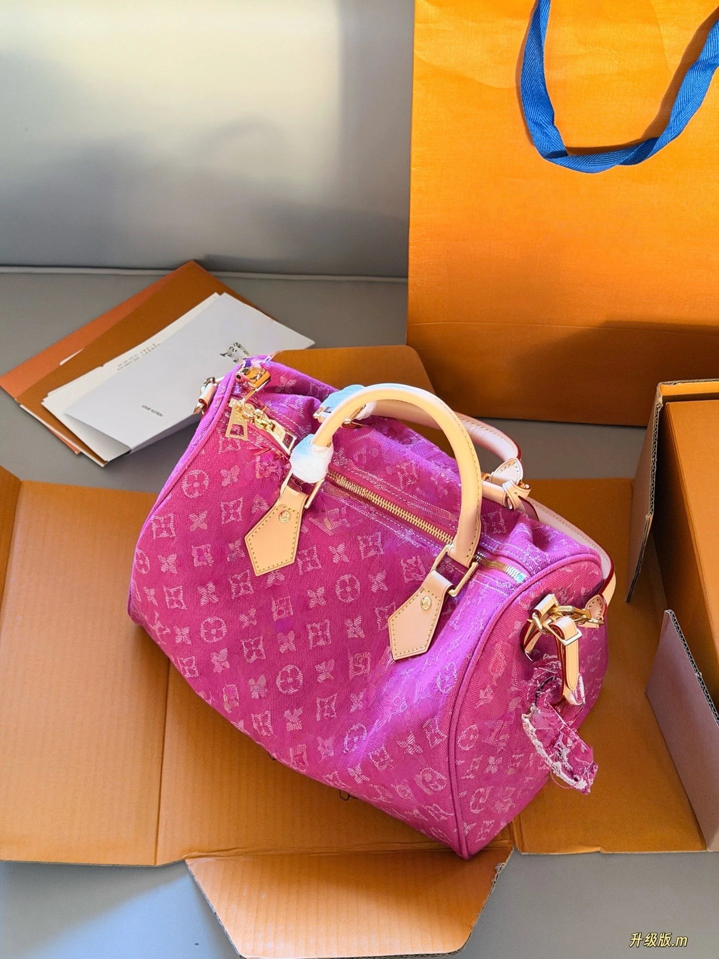 Louis Vuitton Denim Speedy P34 Pillow Bag