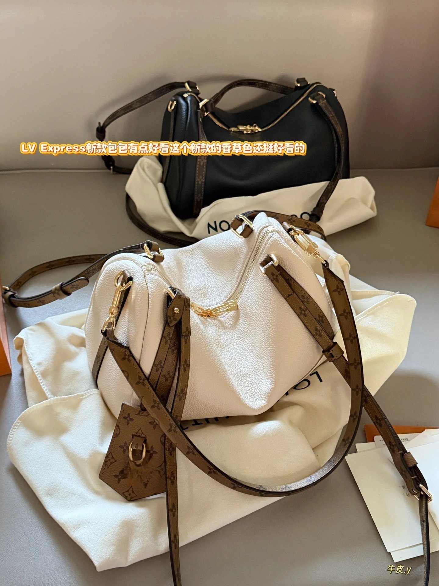Louis Vuitton Express 25 Leather Tote Bag