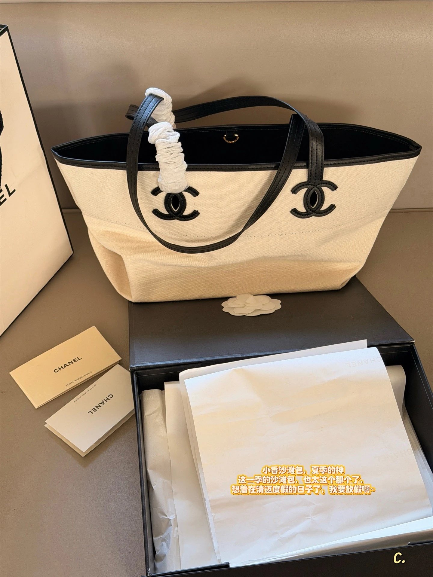Chanel Canvas Shopping Tote Bag