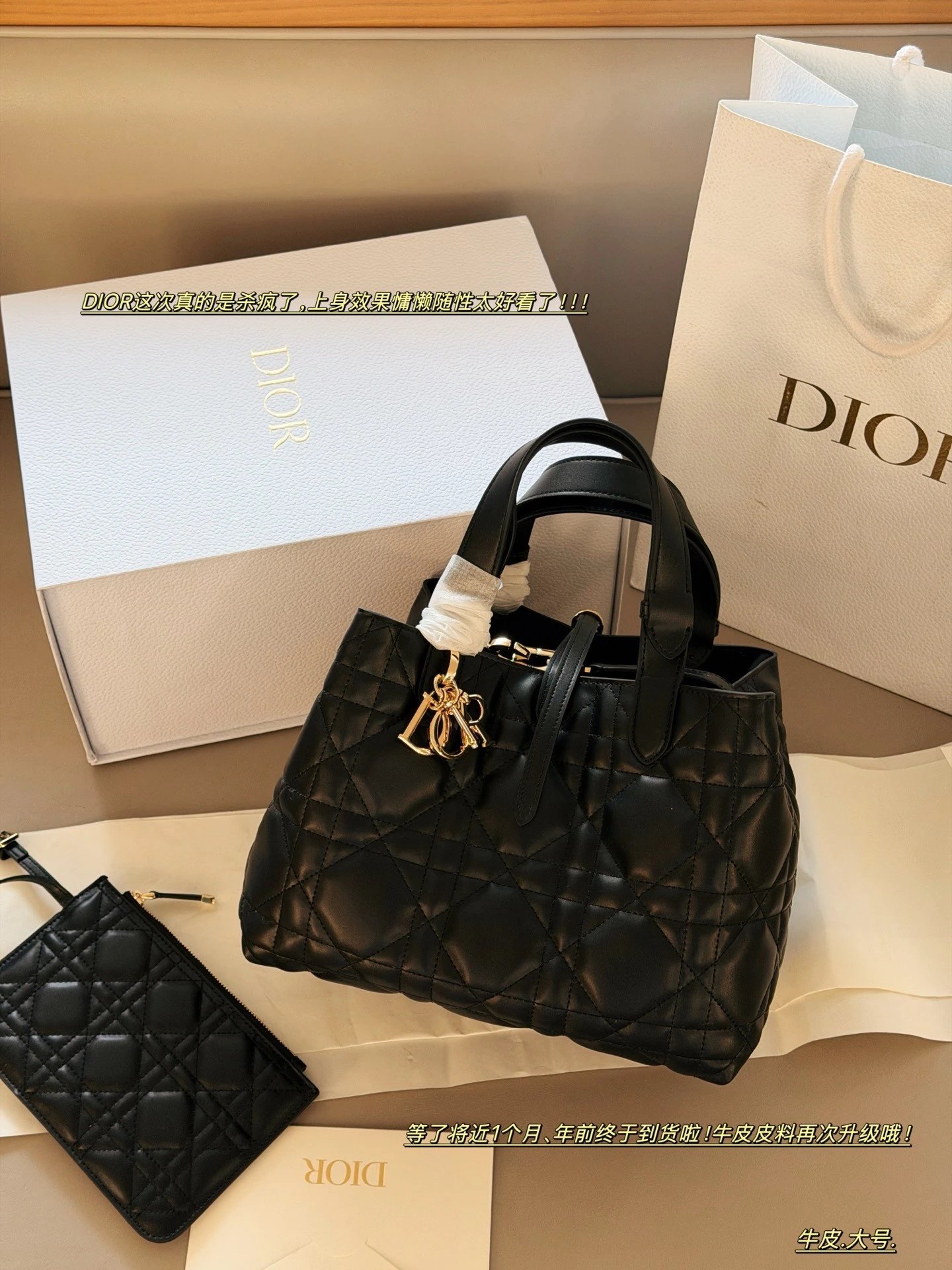 Dior Toujours Leather Shopping Tote