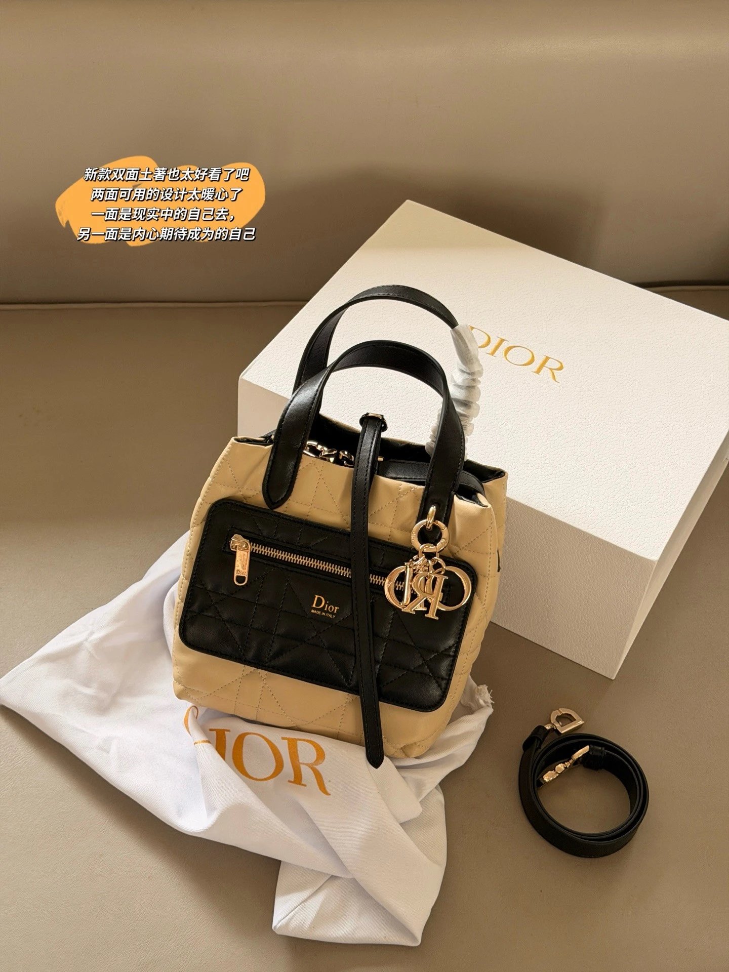 Dior Toujours Two Tone Leather Bucket Tote