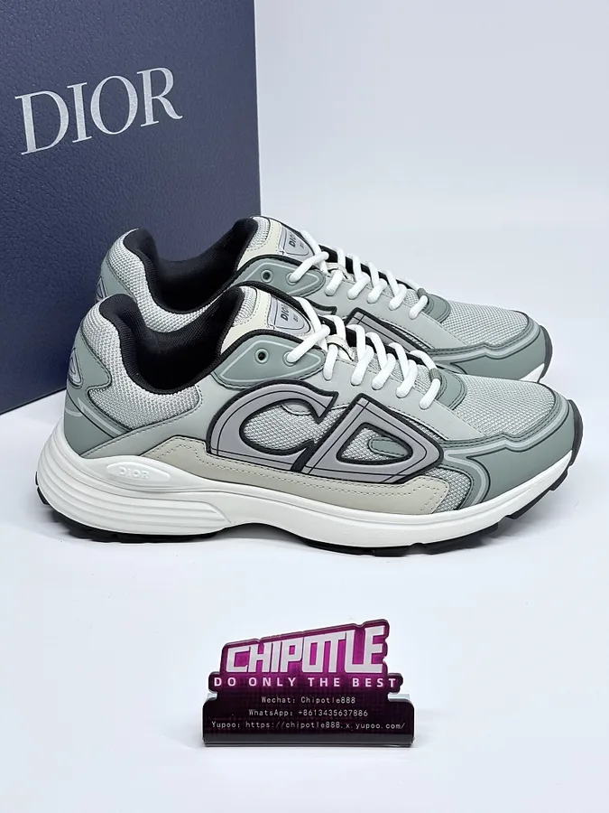 Dior B30 Sneaker Sage Grey