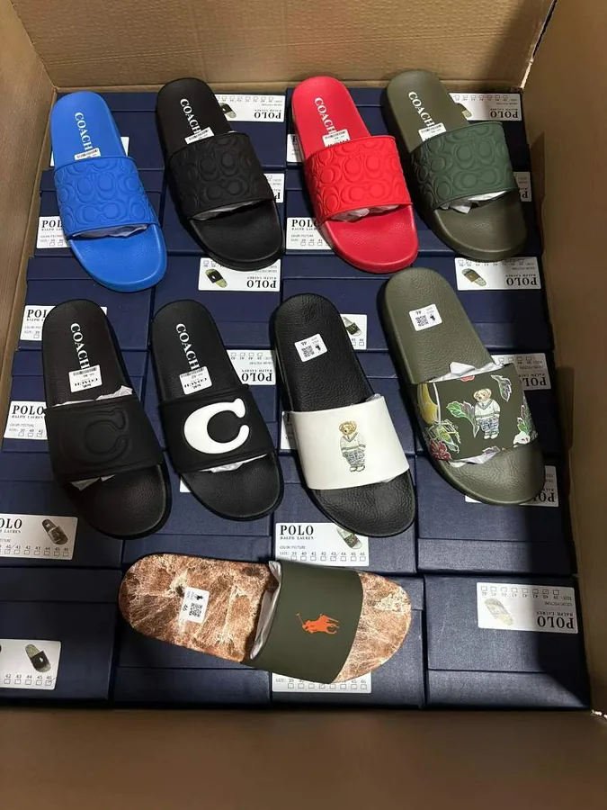 Coach Polo Bear Logo Slides