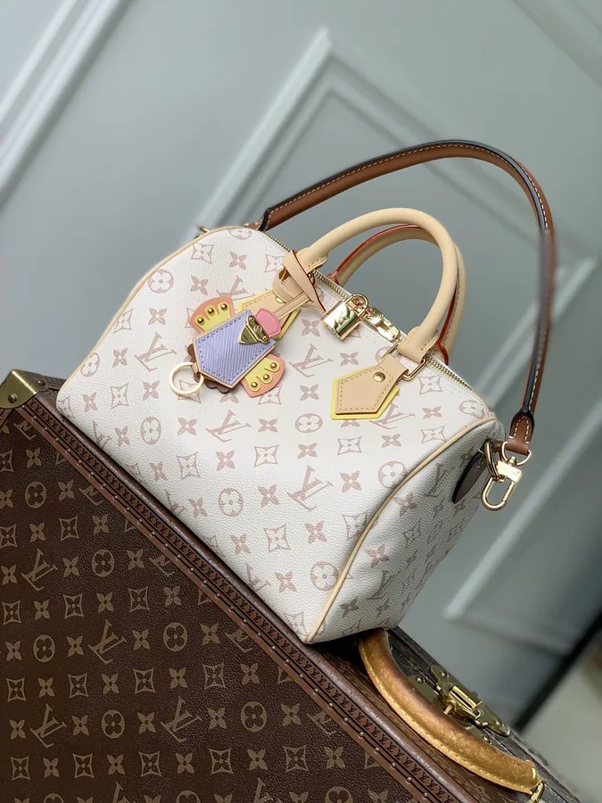 LV Speedy Since 1854 Monogram